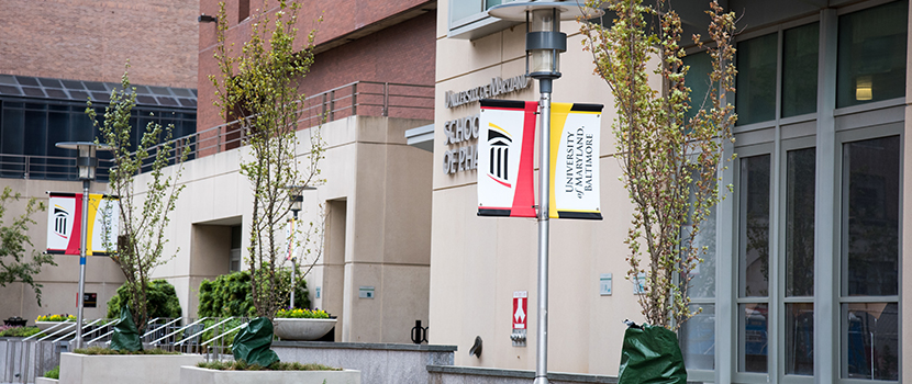 An exterior shot of the UMB campus.