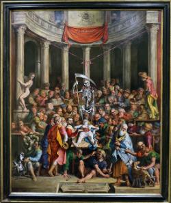 Vesalius Unveiled