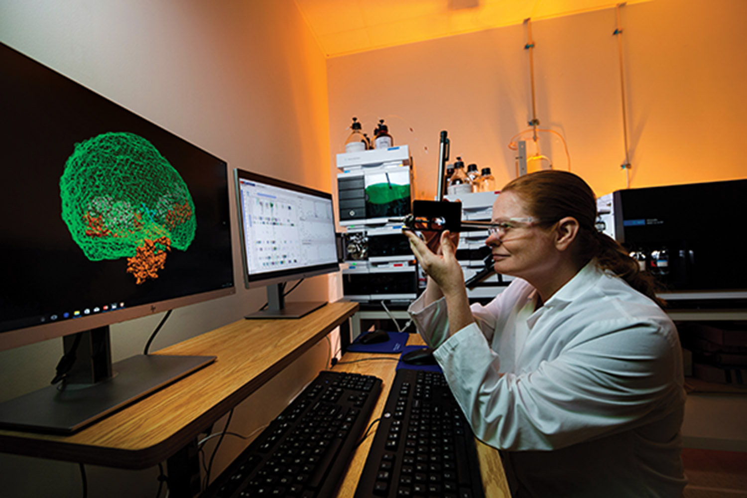 scientist looks at a brain scan