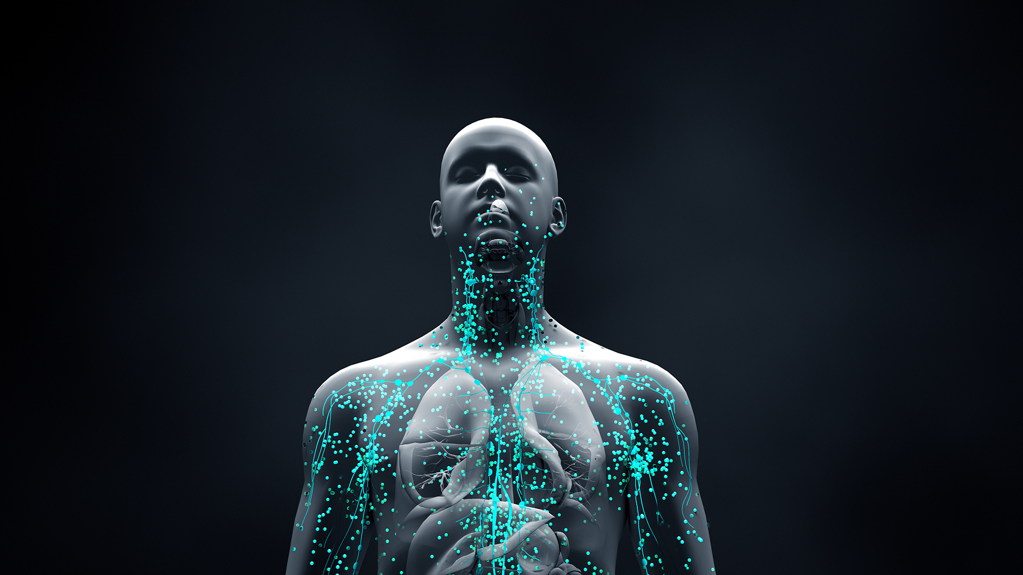 a 3D model of a human body with nanoparticles within