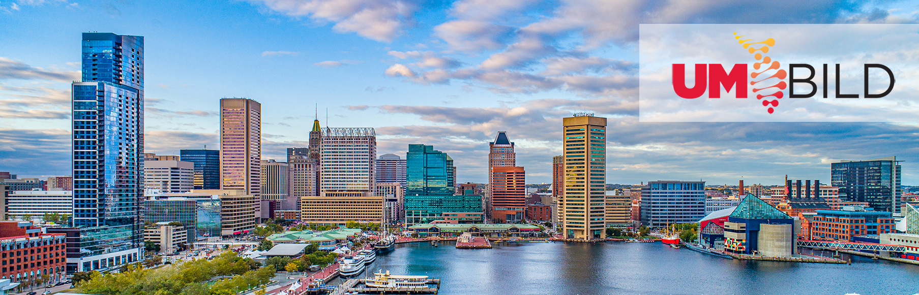Baltimore Skyline with UM-BILD Logo