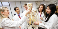 Image of students gathered around a skeleton. 