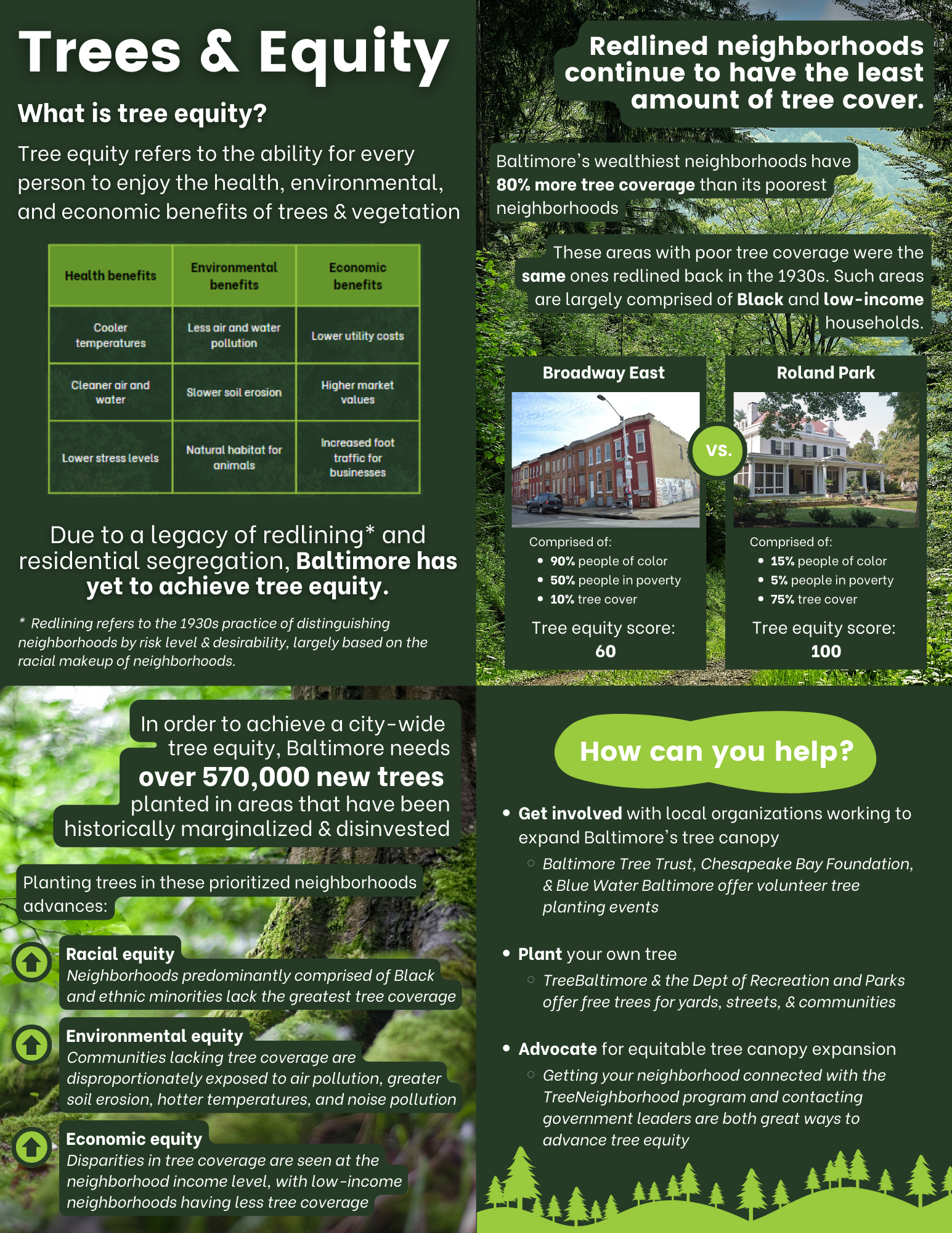 Infographic flyer explaining tree equity as it relates to Baltimore City's tree canopy