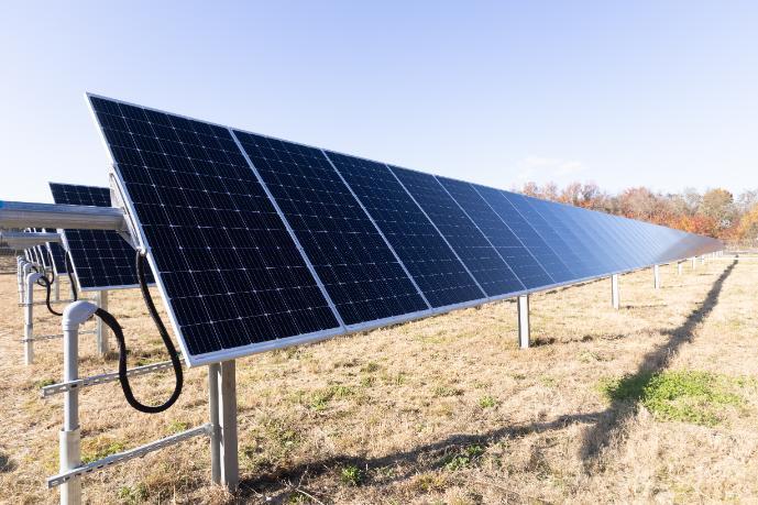 solar panels at Checkerspot Farm in Anne Arundel County